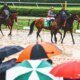 belmont 1 80x80