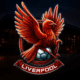 liverpool 80x80