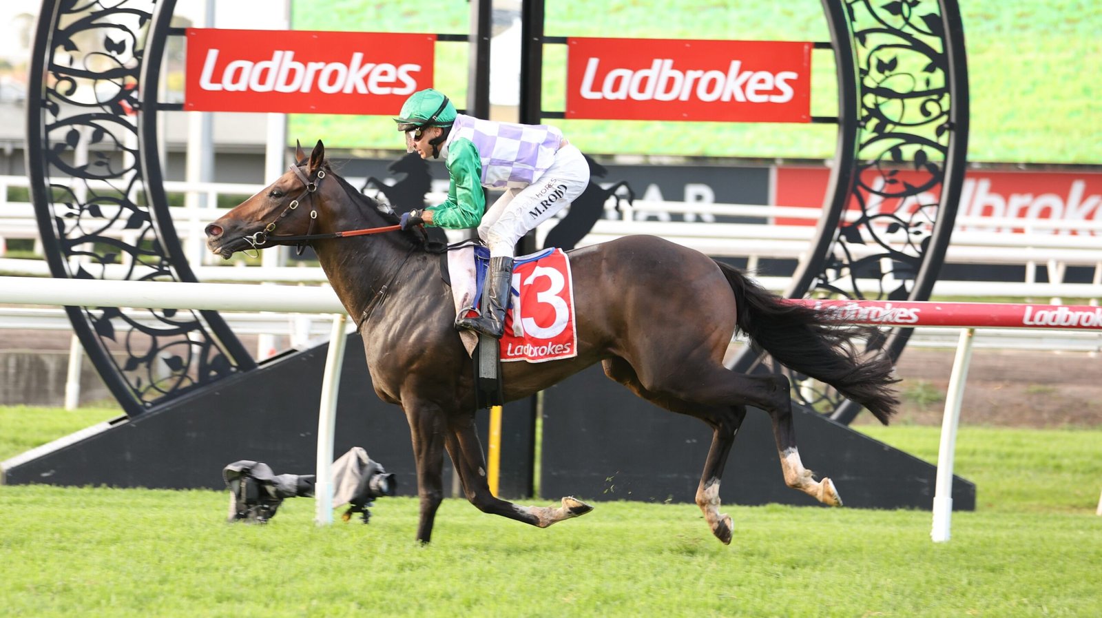 Splash Back, Splash Back Tatts Tiara, Tatts Tiara 2026, Tattersall's Tiara, Tattersall's Tiara 2026, G1 Tatts Tiara, Group 1 Horse Racing, Eagle Farm Racecourse, Horse Racing News, Horse Racing Betting, Racing Odds, Australian Horse Racing, Queensland Racing, Eagle Farm Racing, Splash Back Favourite, Tatts Tiara Odds, Horse Racing Tips, Racing Preview, Grahame Begg, Gerringong, Manaal, Abounding, Fillies and Mares Race, Australian Racing News, Thoroughbred Racing, Horse Racing Australia, Racing Form Guide, Weekend Horse Racing, Racing Predictions, Sports Betting News, Racing Carnival, Brisbane Racing, Group One Racing, Horse Racing Updates, Racing Market Movers, Best Horse Racing Tips, Tatts Tiara Field, Eagle Farm Group 1, Australian Racing Season, Horse Racing Headlines, Betting Market Leaders, Racing Analysis, Sports News, Racing Fans, Race Day Preview, Thoroughbred News, Horse Racing Feature, Australian Turf Racing